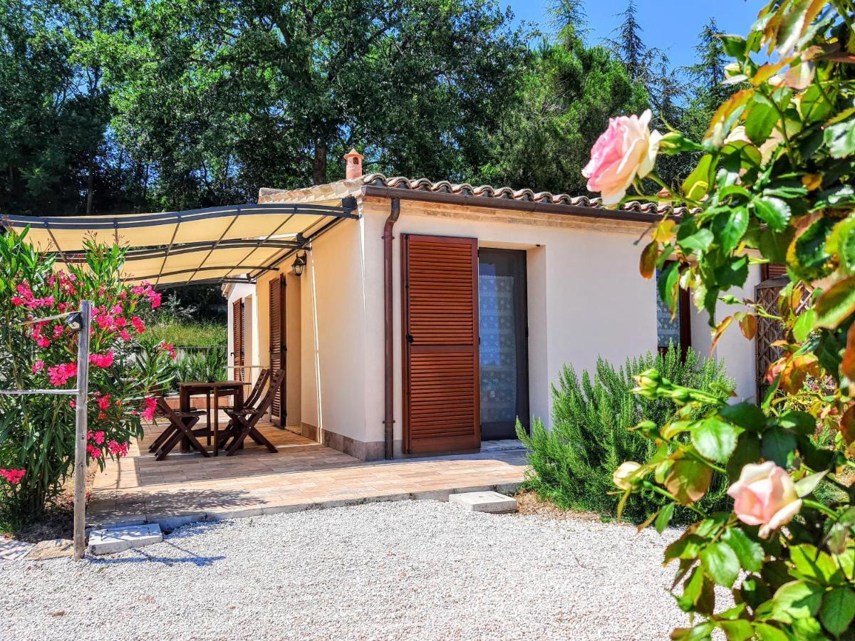 Agriturismo Rosa Antica Monte San Vito Exteriör bild