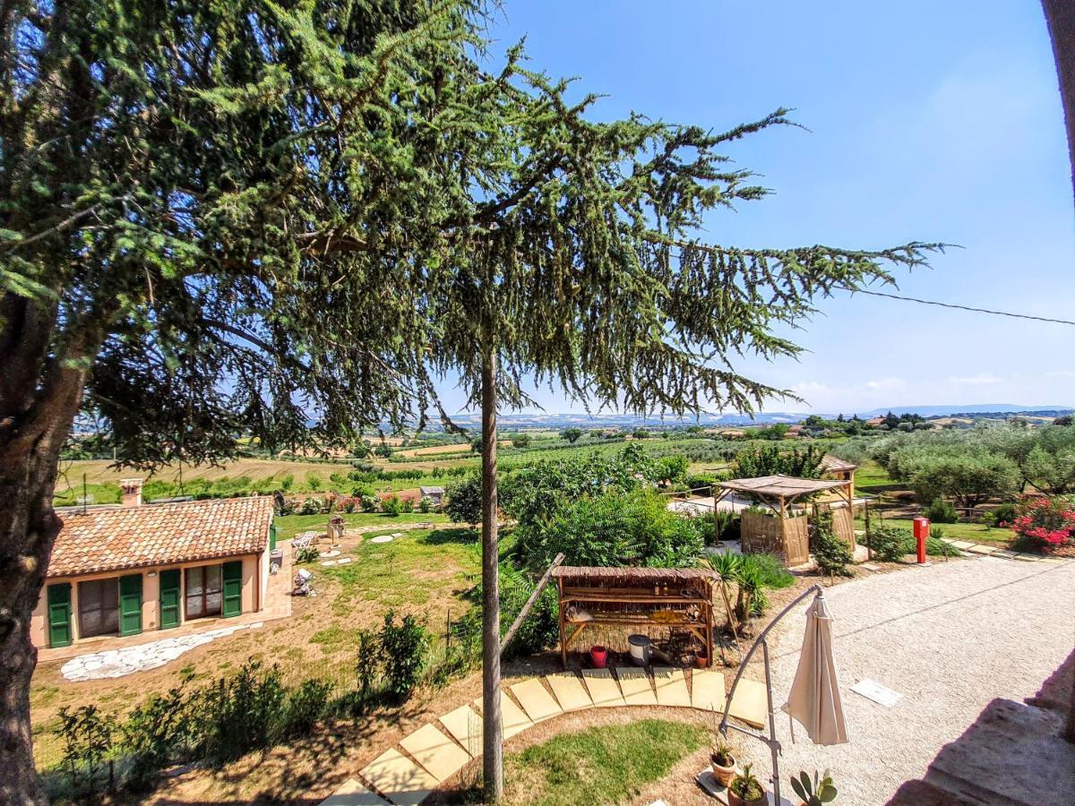 Agriturismo Rosa Antica Monte San Vito Exteriör bild