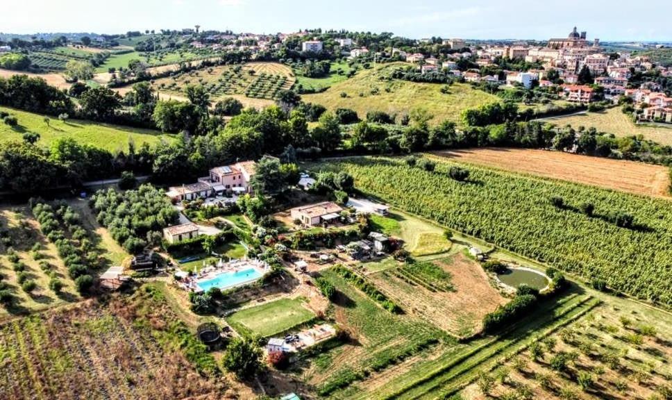 Agriturismo Rosa Antica Monte San Vito Exteriör bild