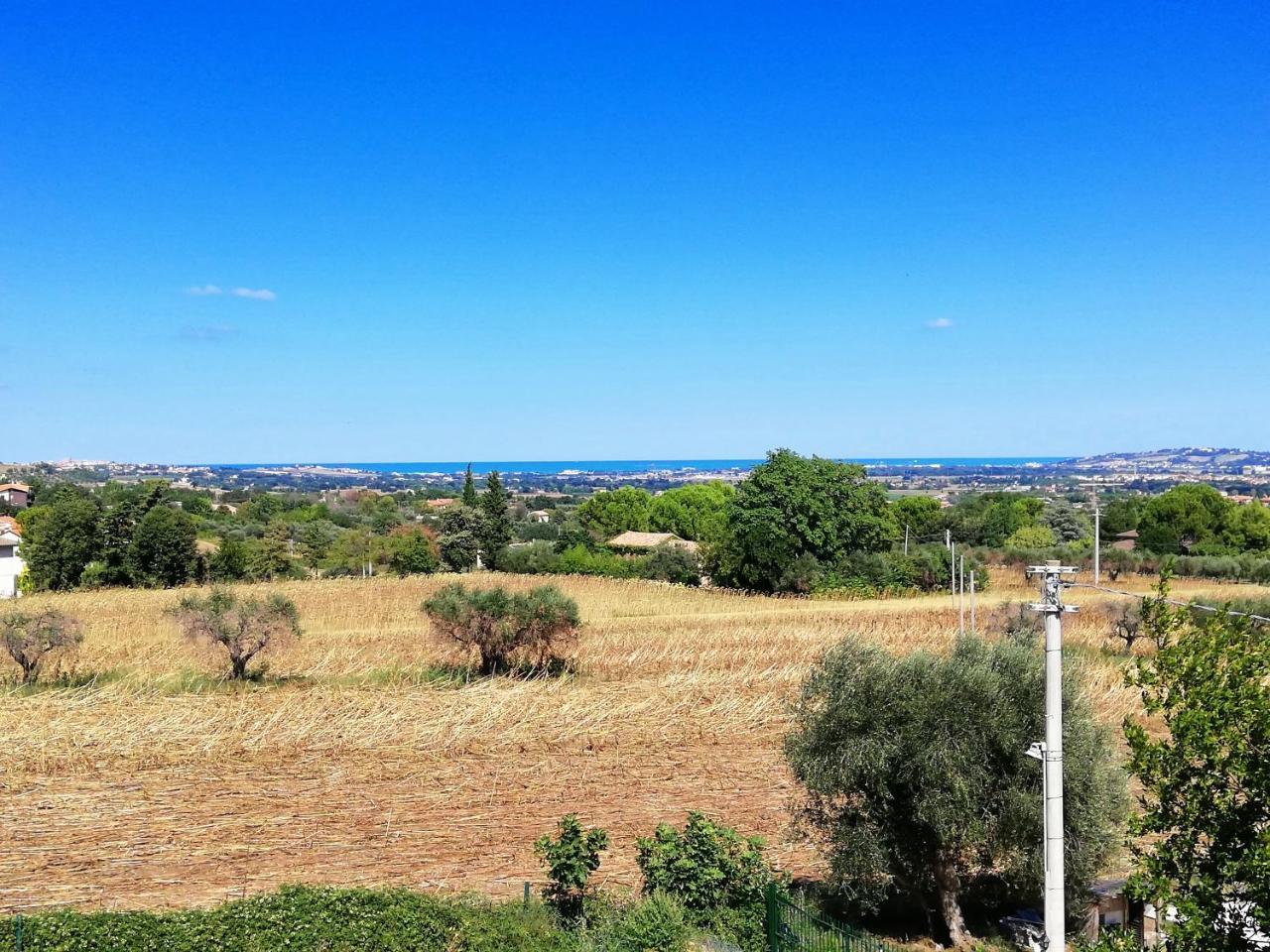 Agriturismo Rosa Antica Monte San Vito Exteriör bild