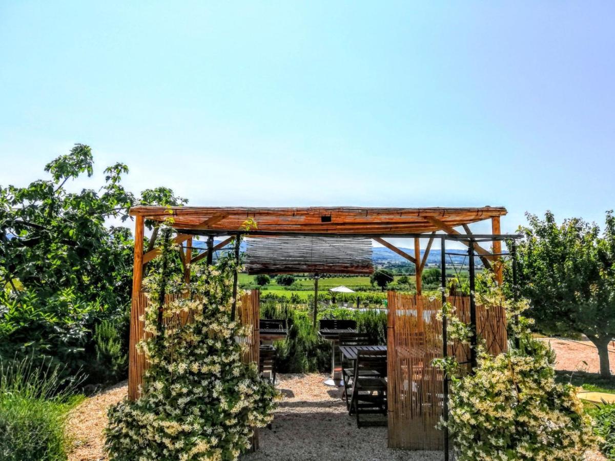 Agriturismo Rosa Antica Monte San Vito Exteriör bild